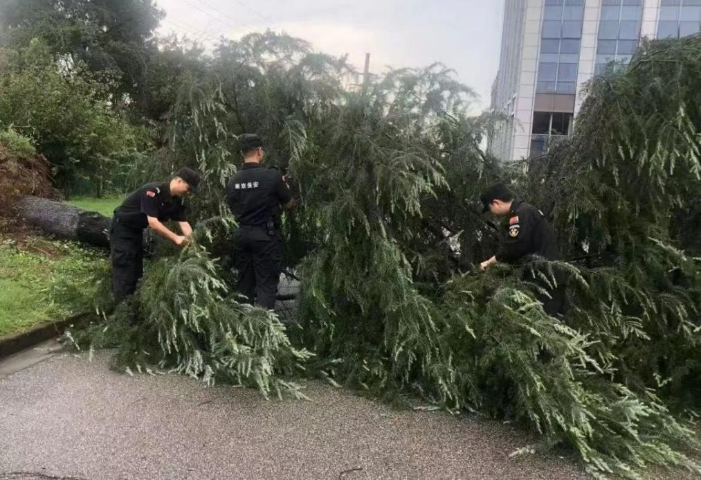 C:/Users/BA/Desktop/風(fēng)雨過(guò)后南京保安迅速行動(dòng)，恢復(fù)安“寧”面貌/1.jpg1